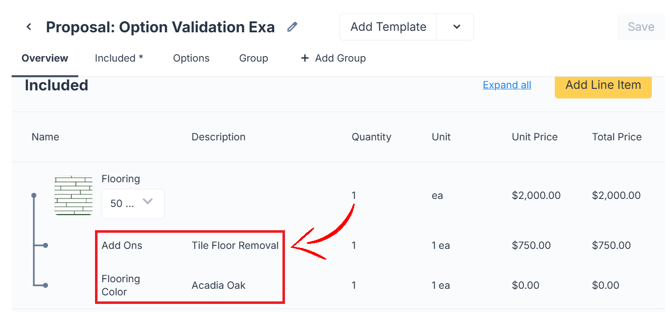 Option validation 5